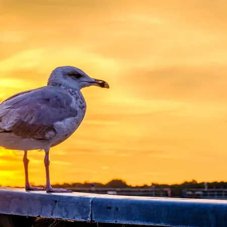 Captain's Deck Travemuende Daire Lübeck